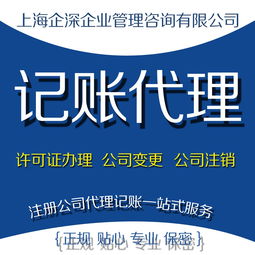 華新代理記賬 華新財(cái)務(wù)公司 華新公司注冊代理 華新記賬公司