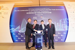 深化中新知識(shí)產(chǎn)權(quán)交流,加快推進(jìn)合作項(xiàng)目落地